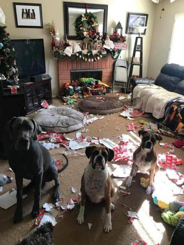 �������, ���������� � �������� ����