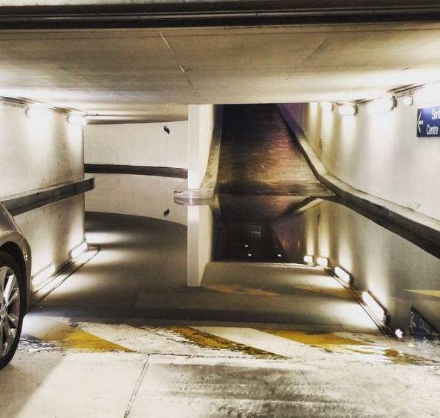 �������, ���������� � �������� ����
