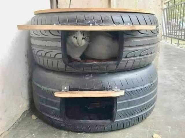 �������, ���������� � �������� ����