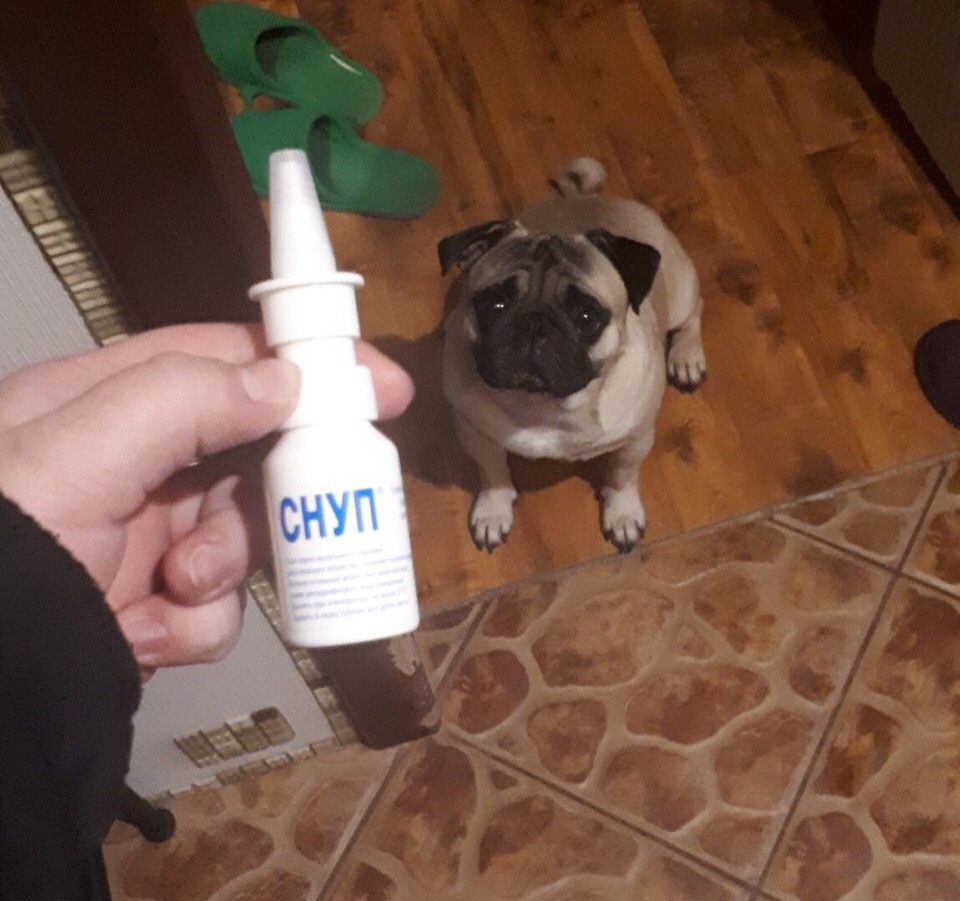 �������, ���������� � �������� ����
