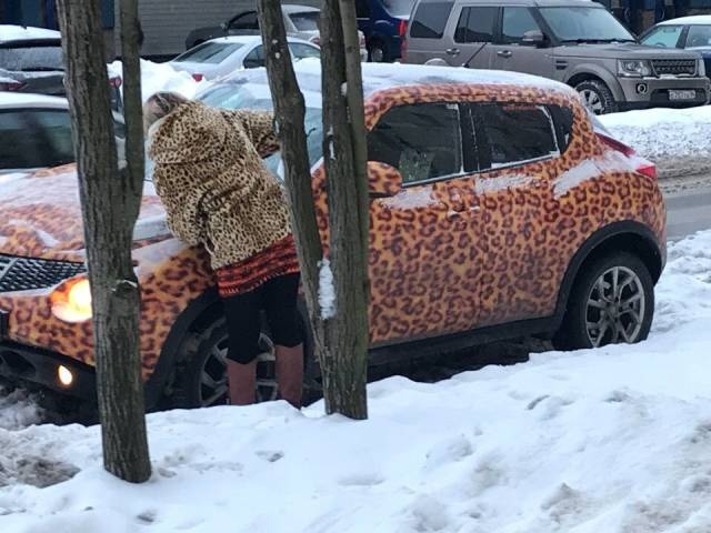 �������, ���������� � �������� ����