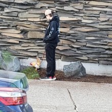 �������, ���������� � �������� ����