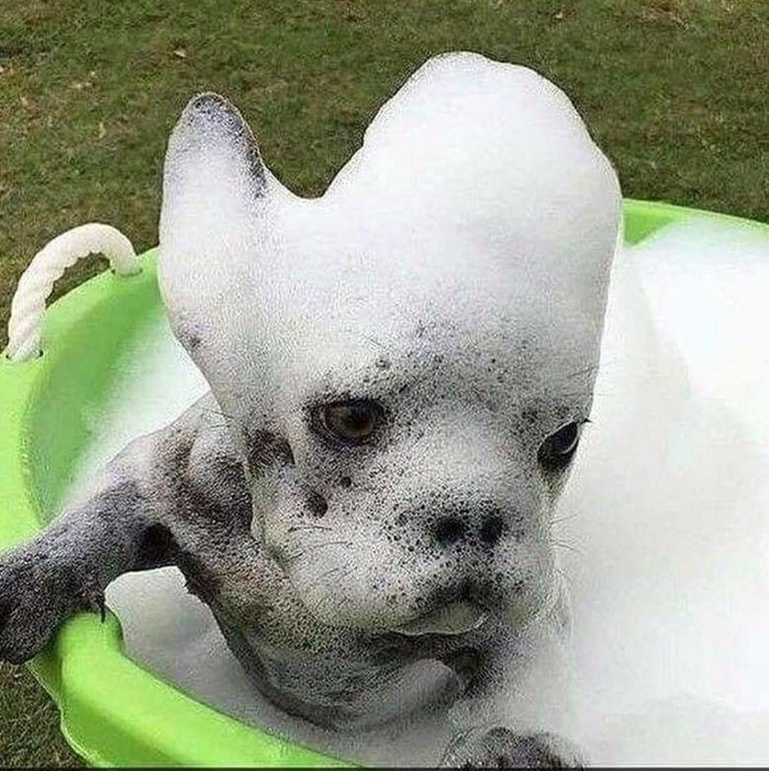 �������, ���������� � �������� ����