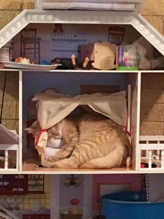 �������, ���������� � �������� ����