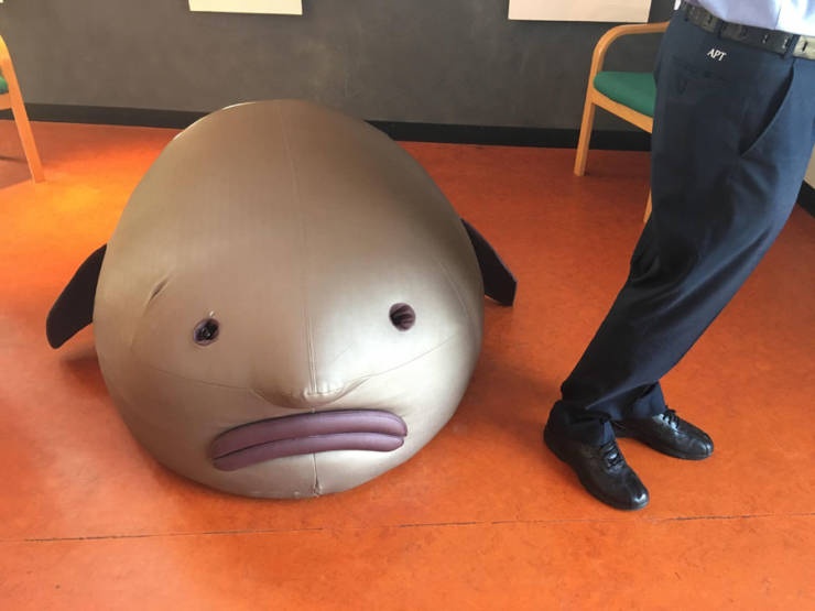 �������, ���������� � �������� ����
