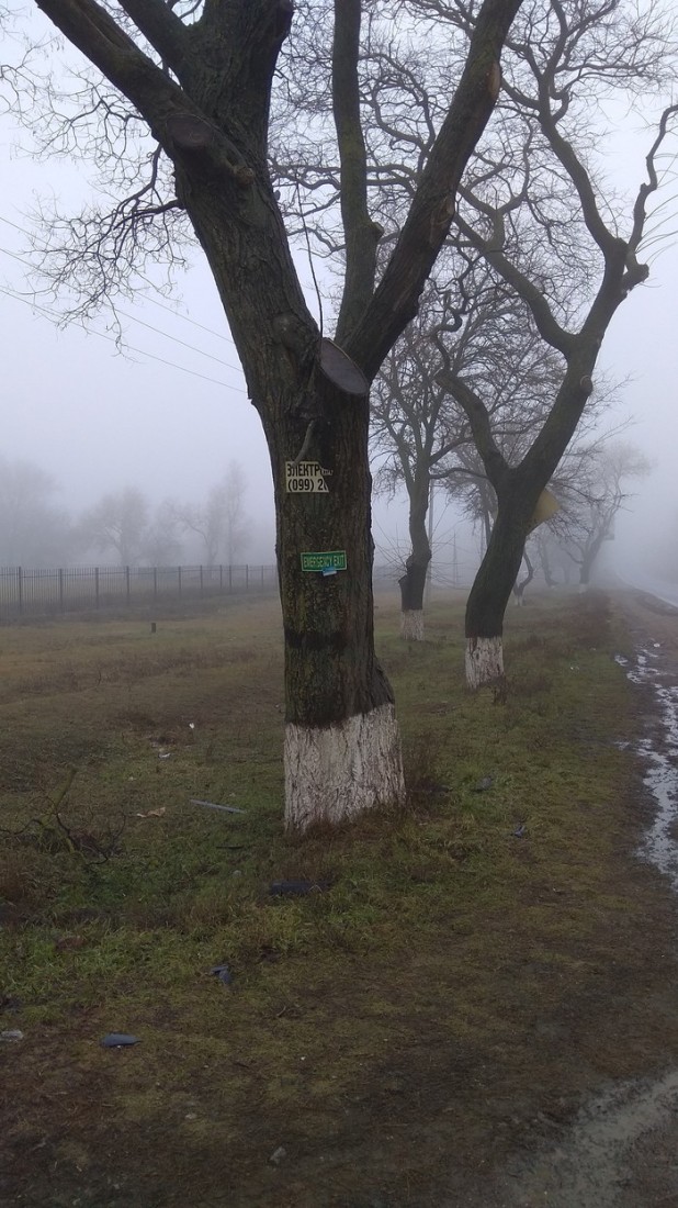 �������, ���������� � �������� ����