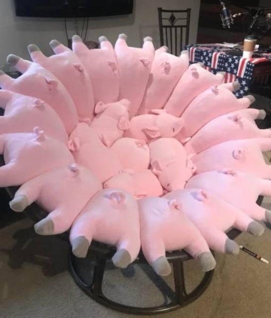 �������, ���������� � �������� ����