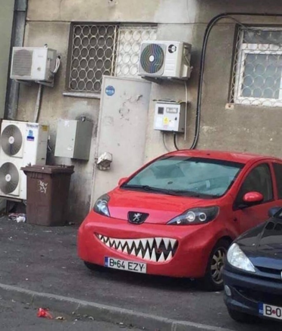 �������, ���������� � �������� ����
