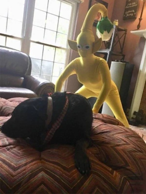 �������, ���������� � �������� ����