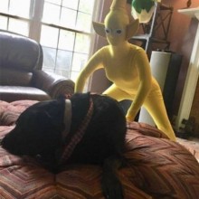 �������, ���������� � �������� ����