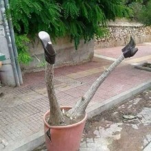 �������, ���������� � �������� ����
