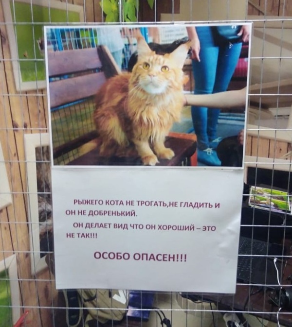 �������, ���������� � �������� ����