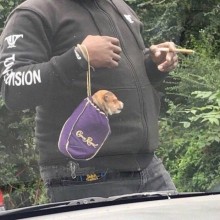�������, ���������� � �������� ����