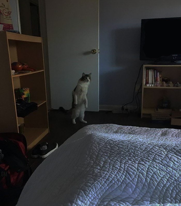 �������, ���������� � �������� ����