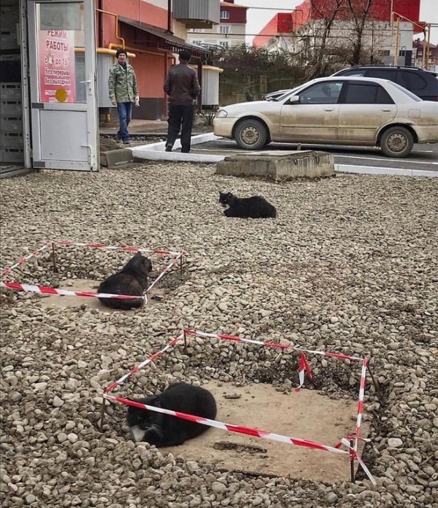 �������, ���������� � �������� ����