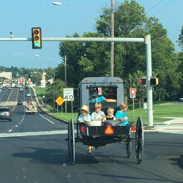 �������, ���������� � �������� ����