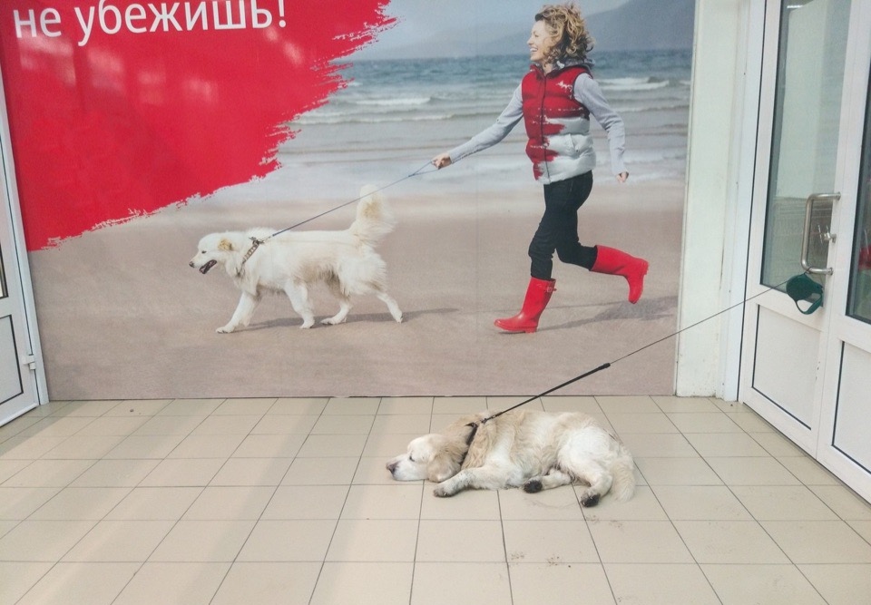 �������, ���������� � �������� ����