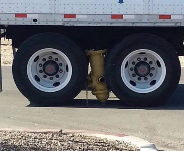 �������, ���������� � �������� ����