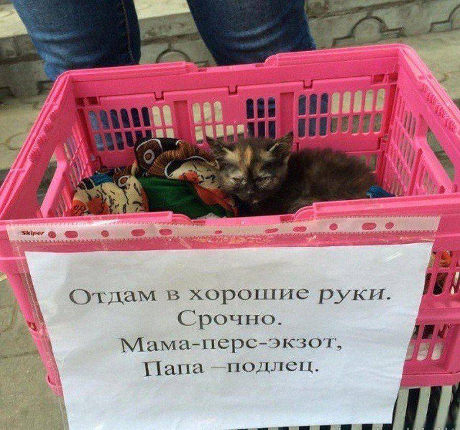 �������, ���������� � �������� ����