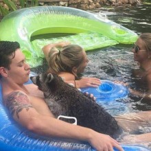 �������, ���������� � �������� ����