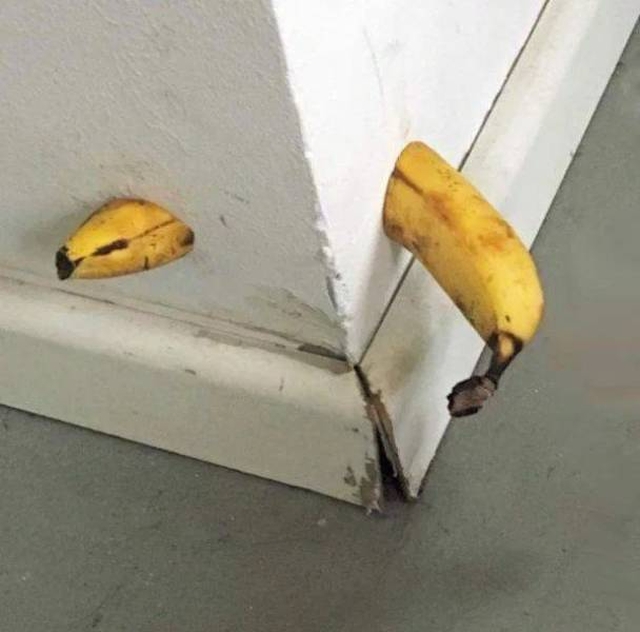 �������, ���������� � �������� ����