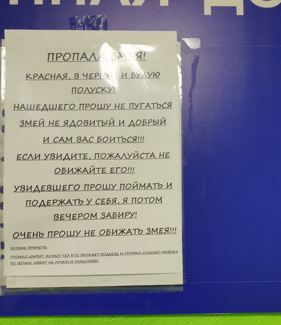 �������, ���������� � �������� ����