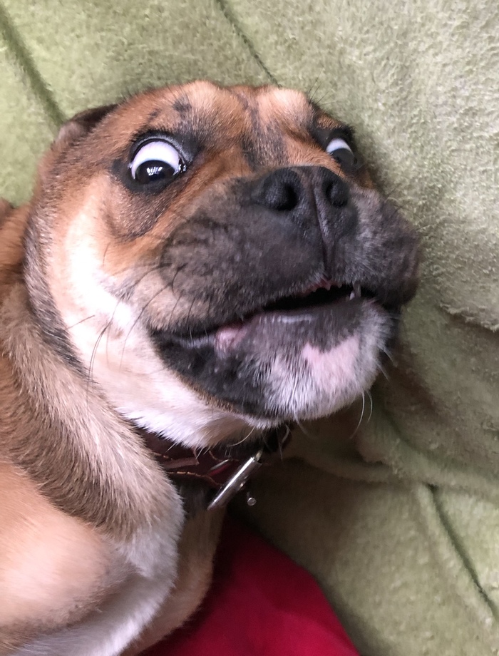 �������, ���������� � �������� ����