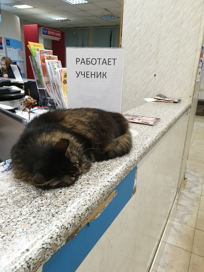 �������, ���������� � �������� ����