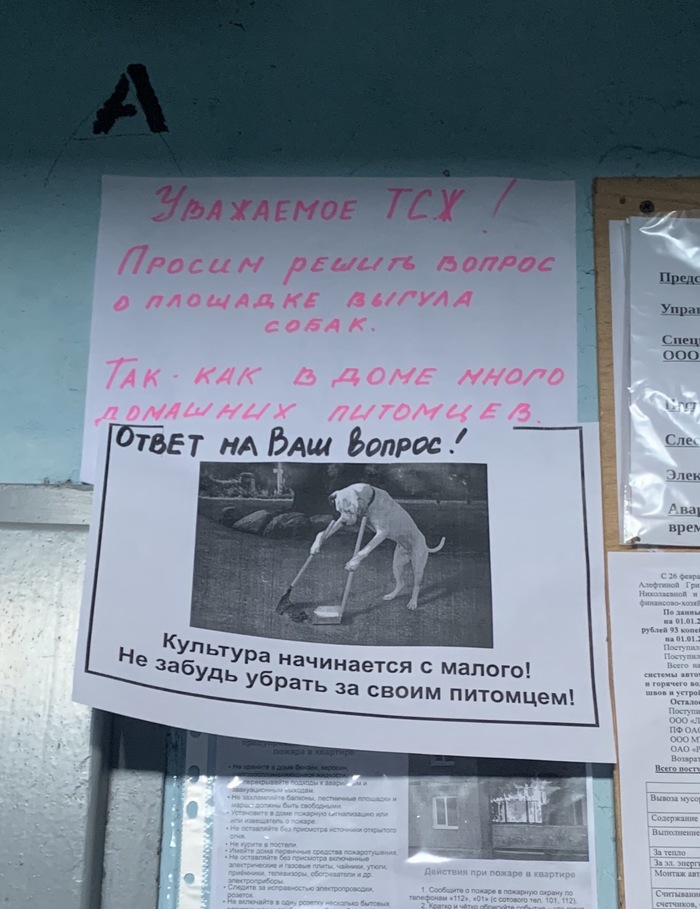 �������, ���������� � �������� ����