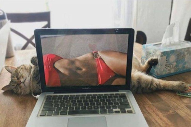 �������, ���������� � �������� ����