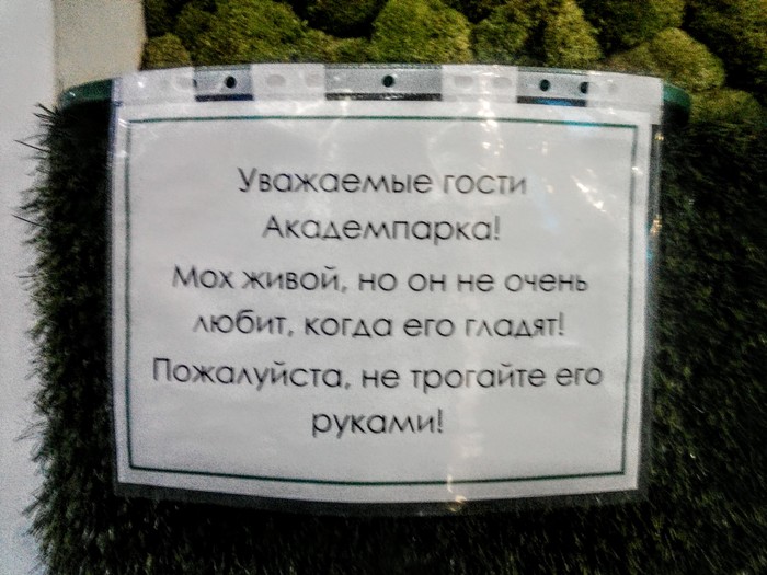 �������, ���������� � �������� ����