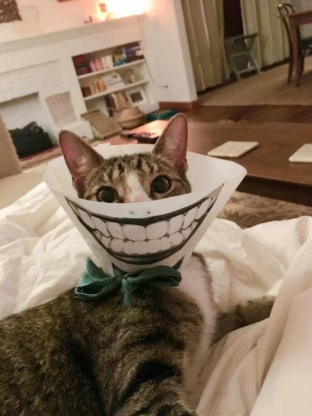 �������, ���������� � �������� ����