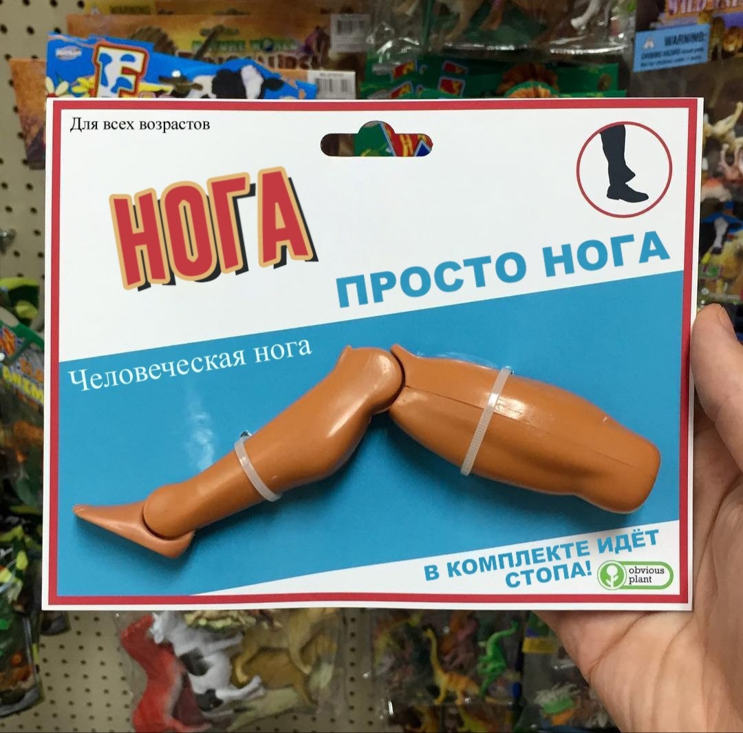 �������, ���������� � �������� ����