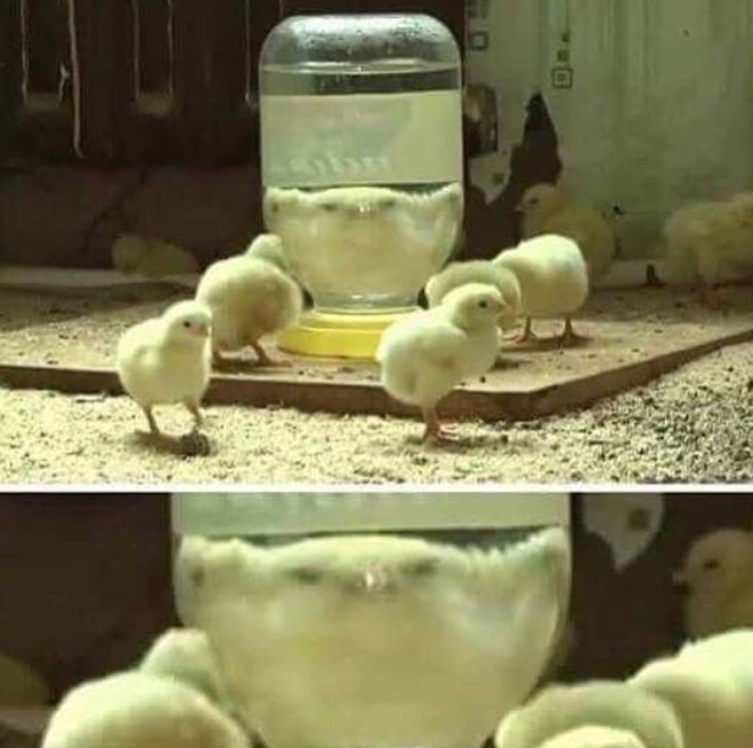�������, ���������� � �������� ����