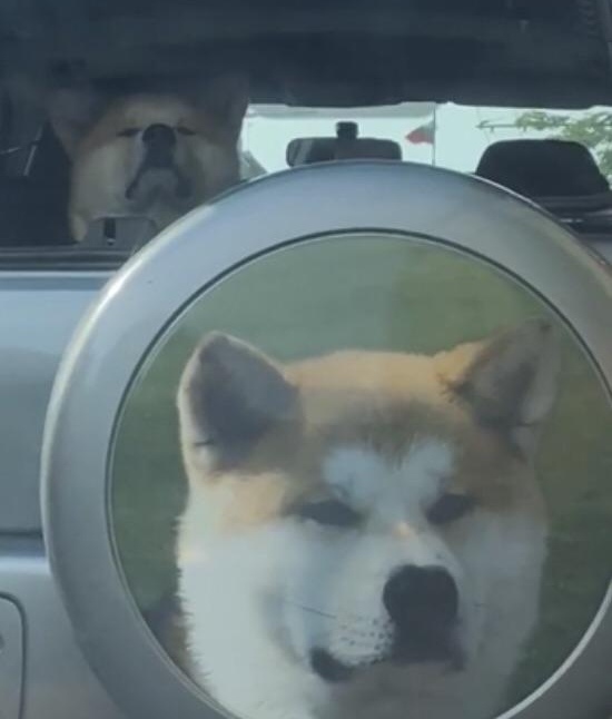 �������, ���������� � �������� ����