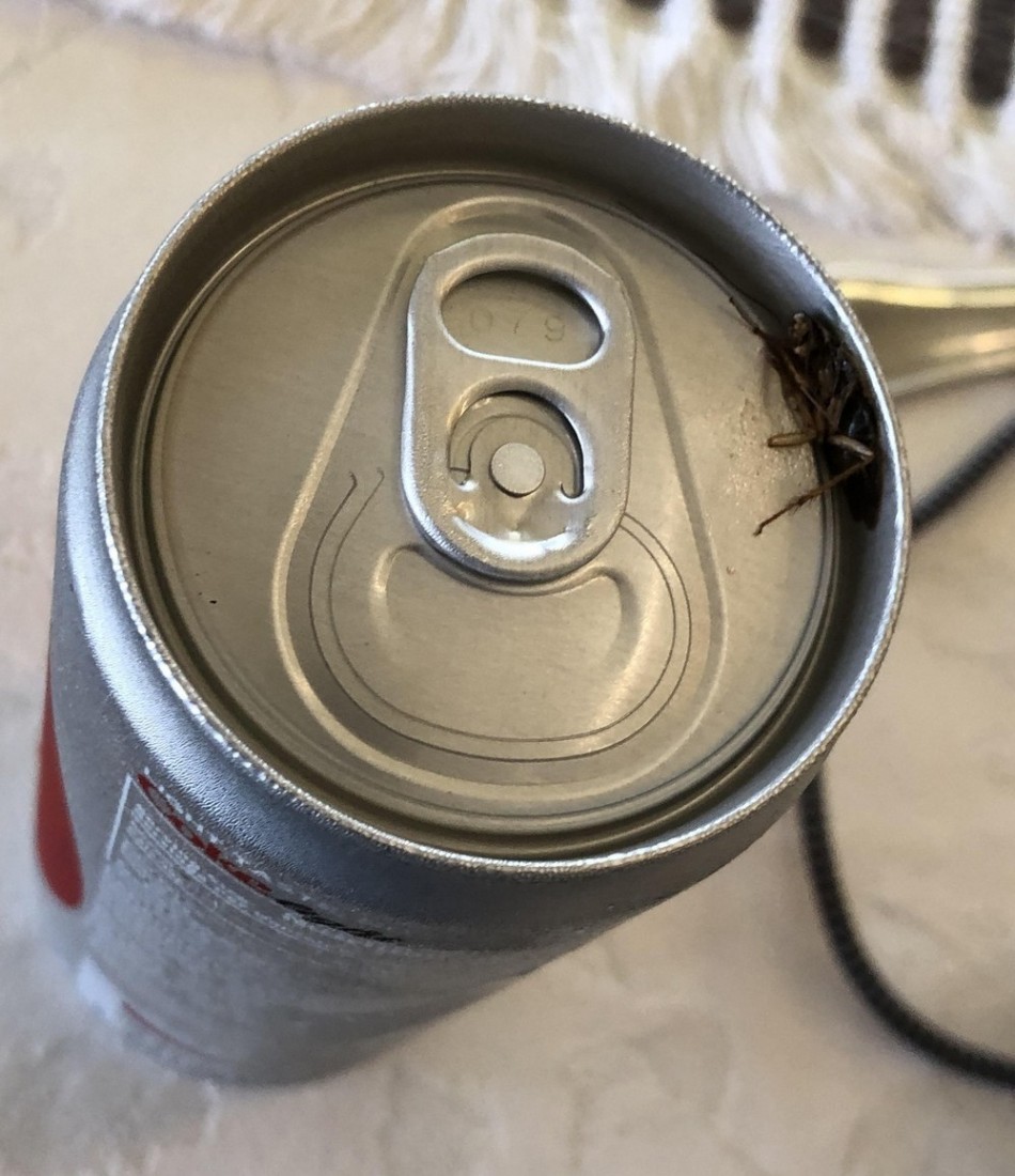 �������, ���������� � �������� ����
