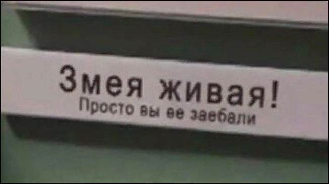 �������, ���������� � �������� ����