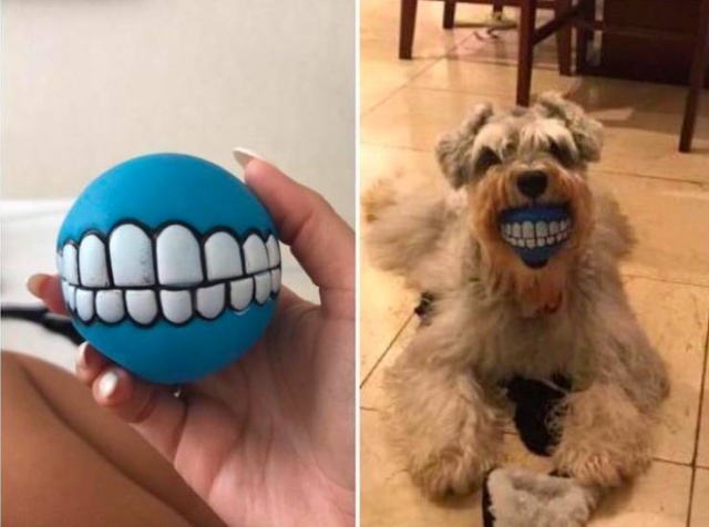 �������, ���������� � �������� ����