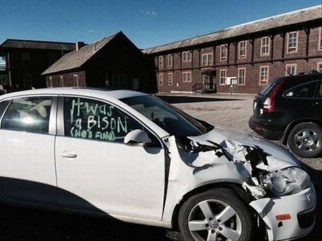 �������, ���������� � �������� ����