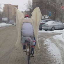 �������, ���������� � �������� ����