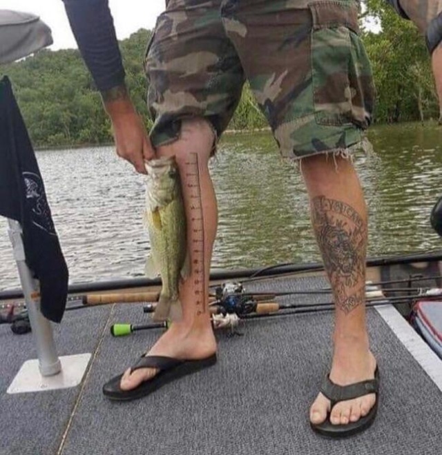 �������, ���������� � �������� ����