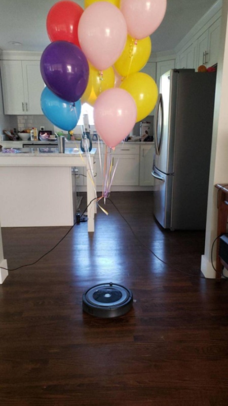 �������, ���������� � �������� ����