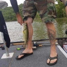 �������, ���������� � �������� ����