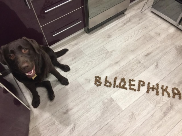 �������, ���������� � �������� ����