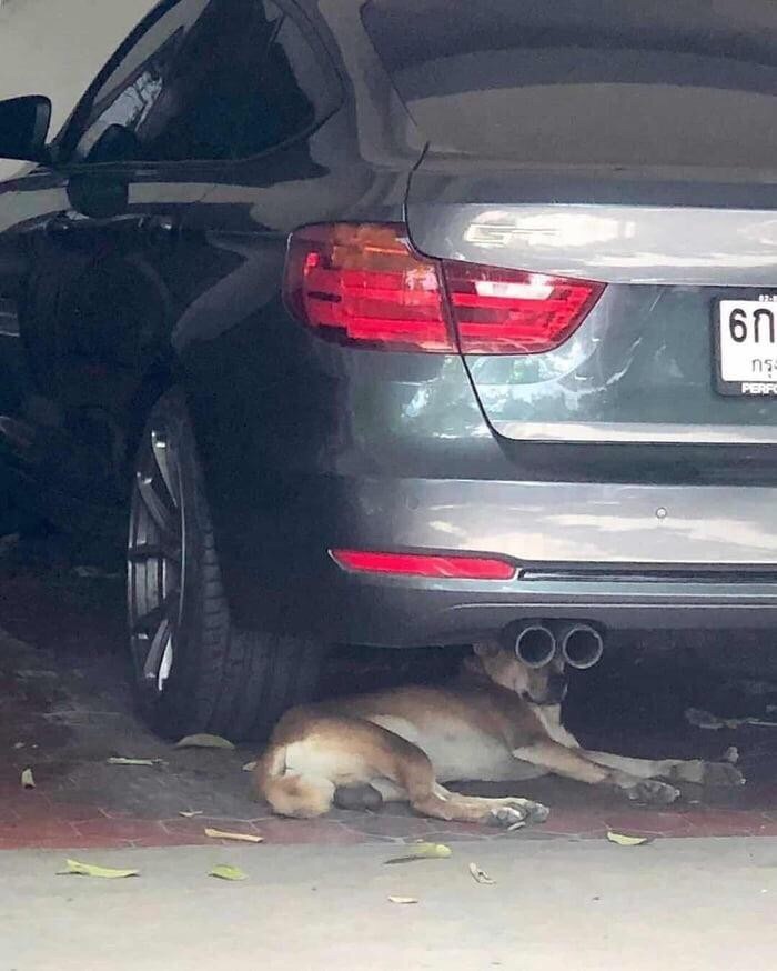 �������, ���������� � �������� ����