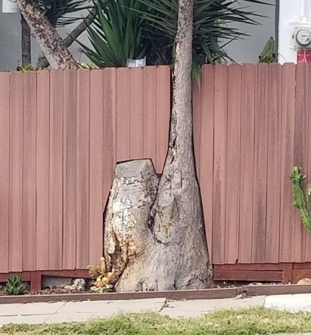 �������, ���������� � �������� ����