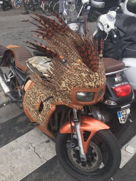 �������, ���������� � �������� ����