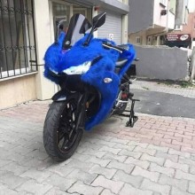 �������, ���������� � �������� ����
