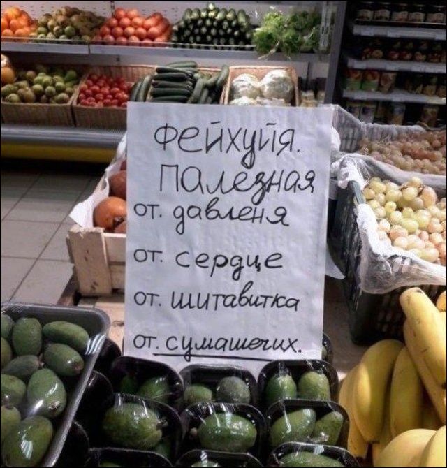 �������, ���������� � �������� ����