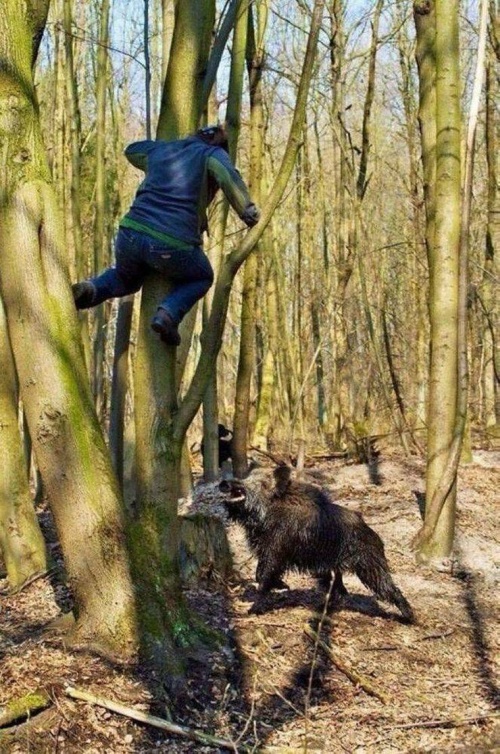 �������, ���������� � �������� ����
